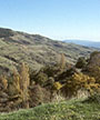 Foto: Regione, fondi per montagne e foreste