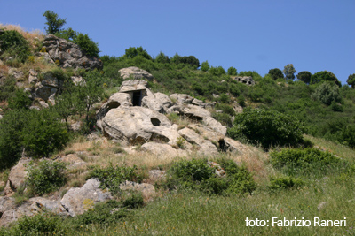 Foto: Altesina, il bosco a Enna