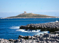 Isola delle Femmine