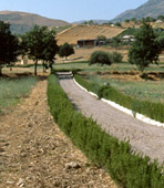 Foto: Agricoltura, impegno prioritario