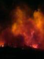 Foto: Incendi, emergenza ambiente