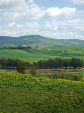 Foto: Si al Piano sviluppo rurale