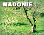 Parco delle Madonie