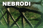 Parco dei Nebrodi