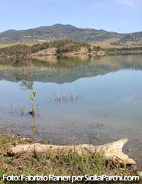 La Riserva di Monte Altesina (EN)