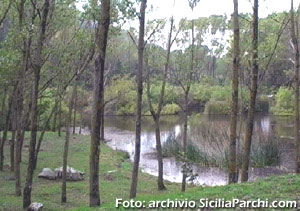 Riserva Sambughetti-Campanito (EN)