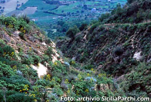 Riserva Vallone di Piano della Corte