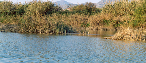 Lago Soprano