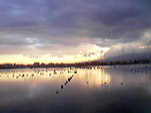 Laguna di Capo Peloro