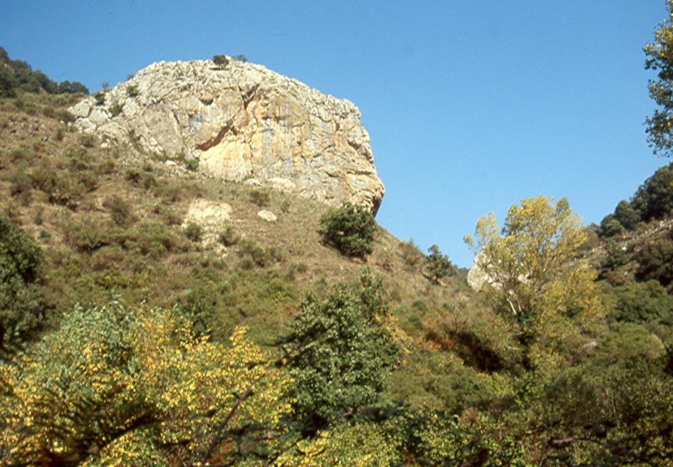 Bosco di Malabotta