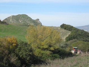 Una veduta dalla riserva di Monte Carcaci