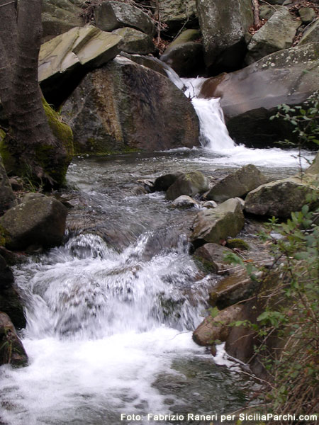 Acqua di un affluente del Alcantara
[click per ingrandire l'immagine]