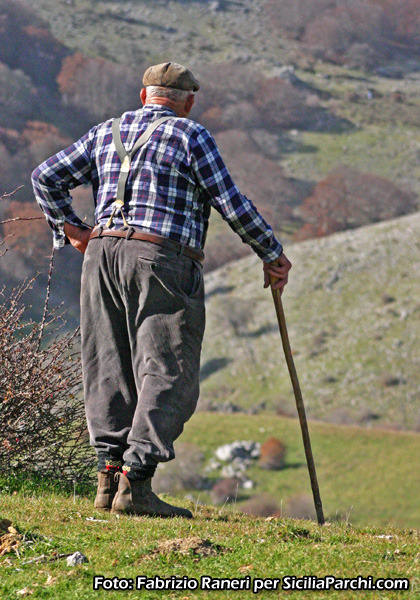 Popolazione dei Parchi naturali siciliani 
[click per ingrandire l'immagine]