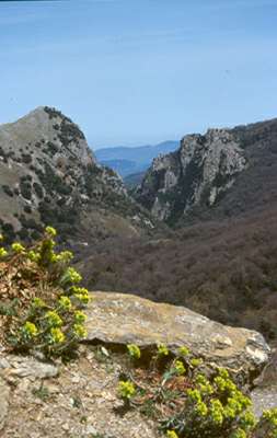 Uno squarcio delle Madonie
[click per ingrandire l'immagine]