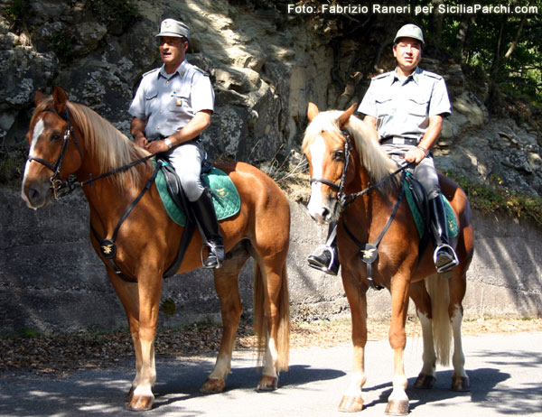 Corpo forestale a cavallo
[click per ingrandire l'immagine]