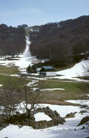 Un paesaggio invernale tipico dei Nebrodi