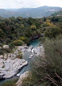 Veduta su un tratto con centrale del fiume con molta vegetazione