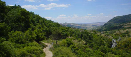 Una suggestiva veduta di uno dei sentieri del Parco