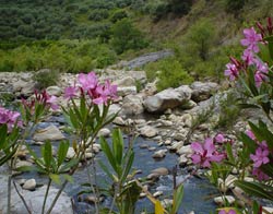 Una parte del sentiero ''Le pietre e l'acqua''