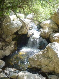 Scorcio di corso d'acqua