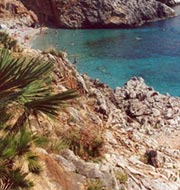 Vista di una baia dall'alto nella Riserva dello Zingaro