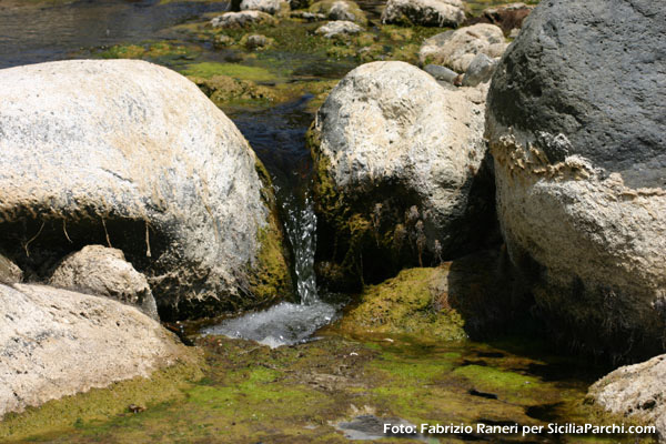 Acqua del Fiume Alcantara
[click per ingrandire l'immagine]