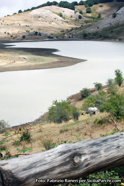 Lago Tre arie nel Parco dei Nebrodi [click per ingrandire l'immagine]