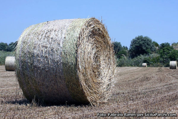 Balle di fieno [click per ingrandire l'immagine]