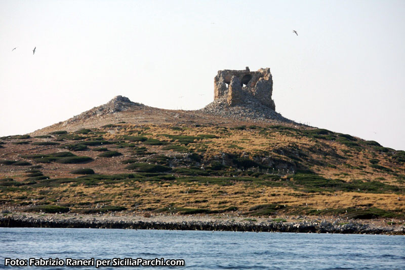 Isola delle femmine [click per ingrandire l'immagine]