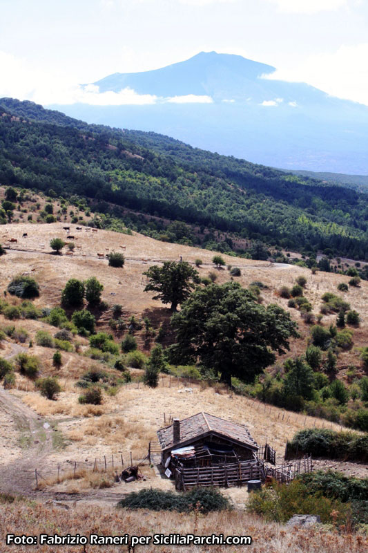 Panorama dell'Etna [click per ingrandire l'immagine]