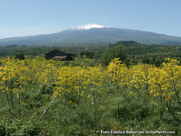 Una veduta dell'Etna [click per ingrandire l'immagine]