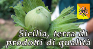 Vai allo Speciale: Sicilia, terra di prodotti di qualità