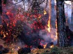 Foto Etna13 - [Click per ingrandire]