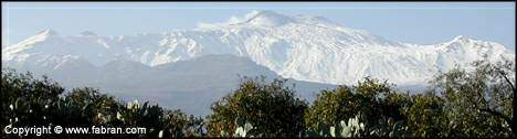 Veduta dell'Etna innevata con alcune fra le piante tipiche della vegetazione locale: il fico d'india e l'ulivo