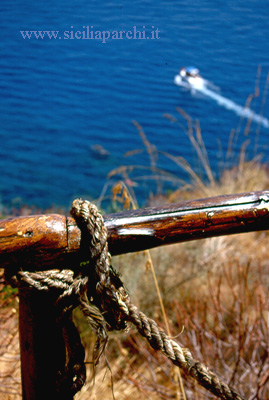 Interventi dell'Azienda Foreste per le riserve di mare