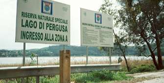 Vai al dettaglio della Notizia 