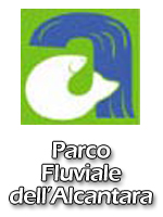 Vai al dettaglio della Notizia 